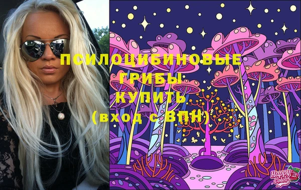 дмт Аркадак
