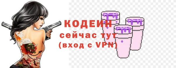 дурь Арсеньев
