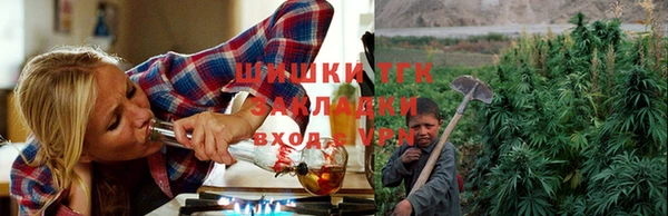 дмт Аркадак